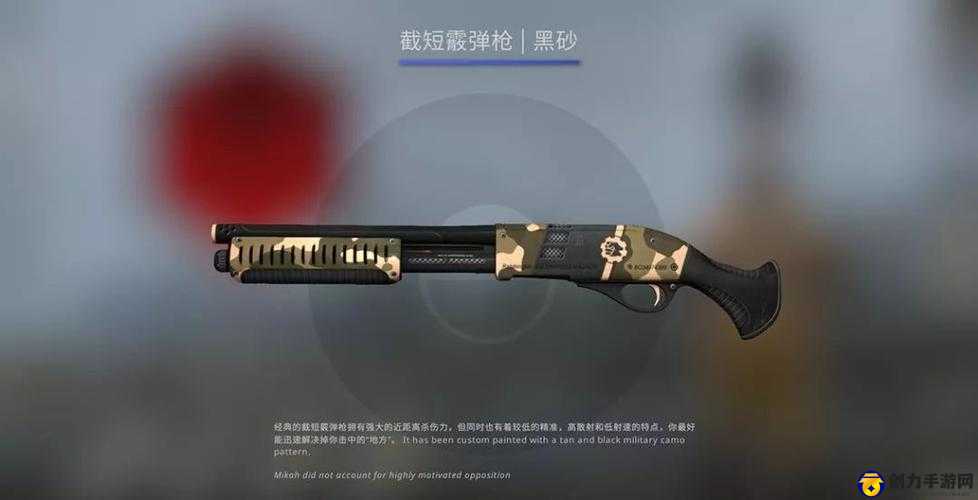 日本 CSGO 大姐姐 AWP 多少钱：探寻其价格背后的故事